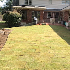 Shrubs-Sod 17